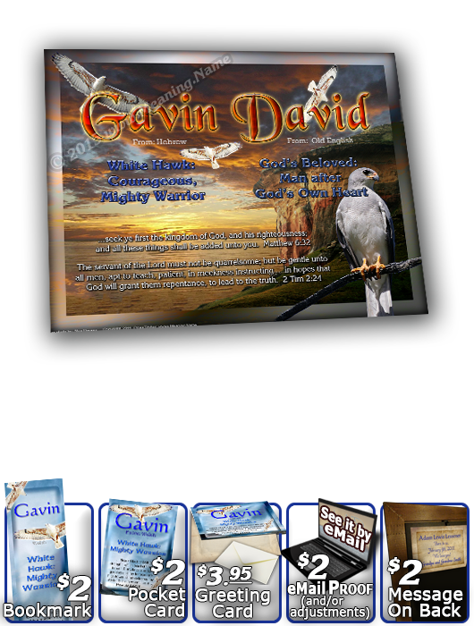 8x10-AN52, personalized 10x12 name meaning print, framed with  name meaning & Bible verse,   white hawk Gavin bird