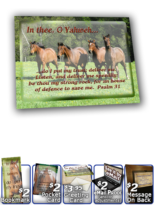 SG-8x10-AN31, Large 10x12 Plaque with Custom Bible Verse  horses, Psalm 31, freedom