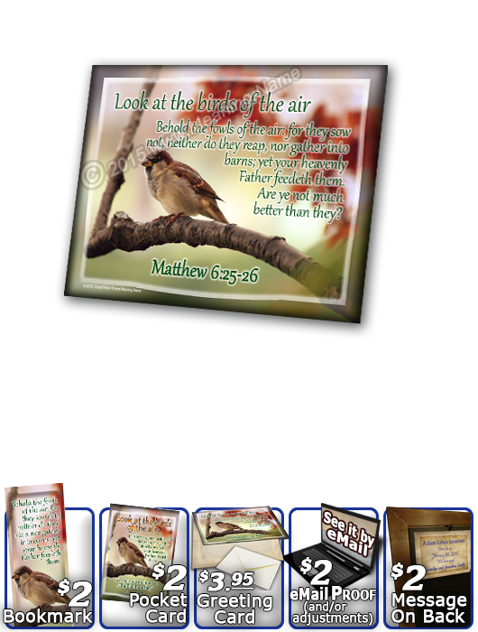 SG-PL-AN63, Custom Scripture Plaque,  Framed, Bible Verse  bird birds sparrow, Matthew 6:25-33