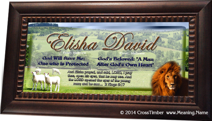 name meaning plaque with lambs and lion AN05
