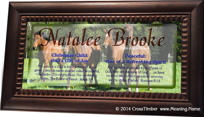 framed name meaning print with four horses natalee brooke AN31