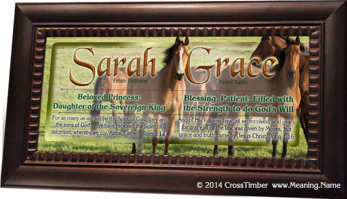 AN44 brown horses with two name meanings, Sarah Grace framed and mounted