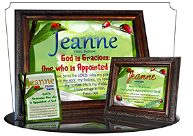 8x10-AN61, personalized 10x12 name meaning print, framed with  name meaning & Bible verse,  ladybug bug jeanne garden