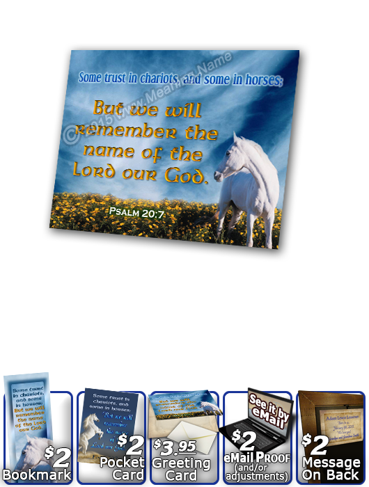 SG-PL-AN26, Custom Scripture Plaque,  Framed, Bible Verse  white horse, Psalm 20:7, Job 39:19