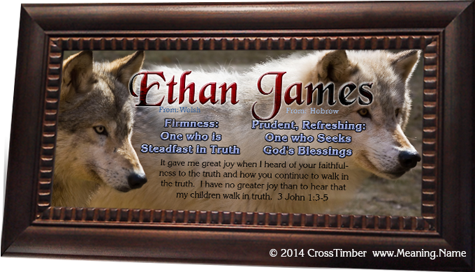 AN53 Two-name name meaning print, framed with wolves